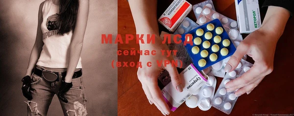 прущие грибы Дмитровск