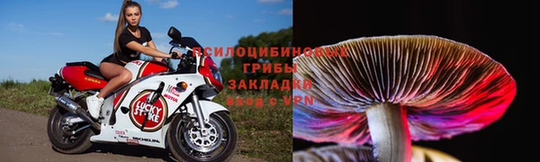 стафф Дмитриев