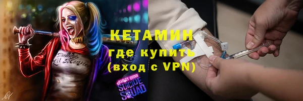 прущие грибы Дмитровск