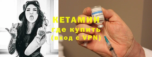 прущие грибы Дмитровск
