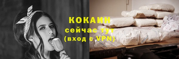прущие грибы Дмитровск