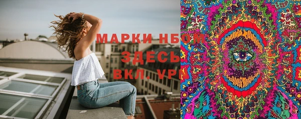 крисы Дмитров