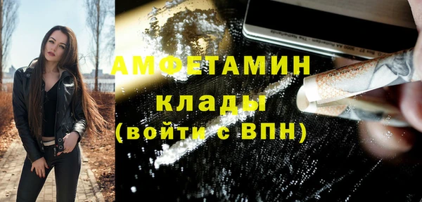 прущие грибы Дмитровск