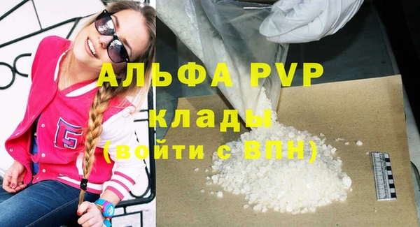 стафф Дмитриев