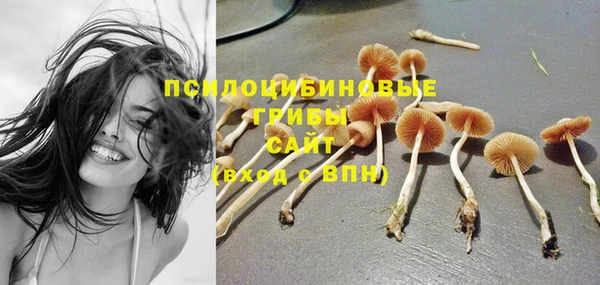 крисы Дмитров