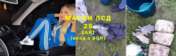 прущие грибы Дмитровск