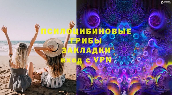прущие грибы Дмитровск