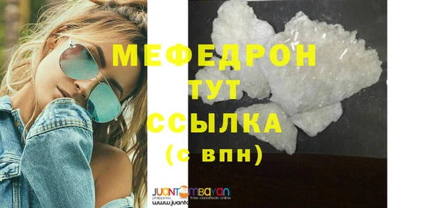 индика Лабытнанги