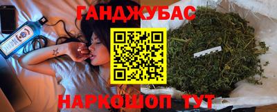 стафф Камышлов