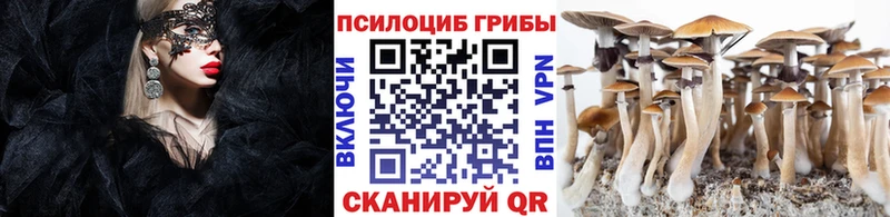 купить наркотик  Москва  Псилоцибиновые грибы ЛСД 