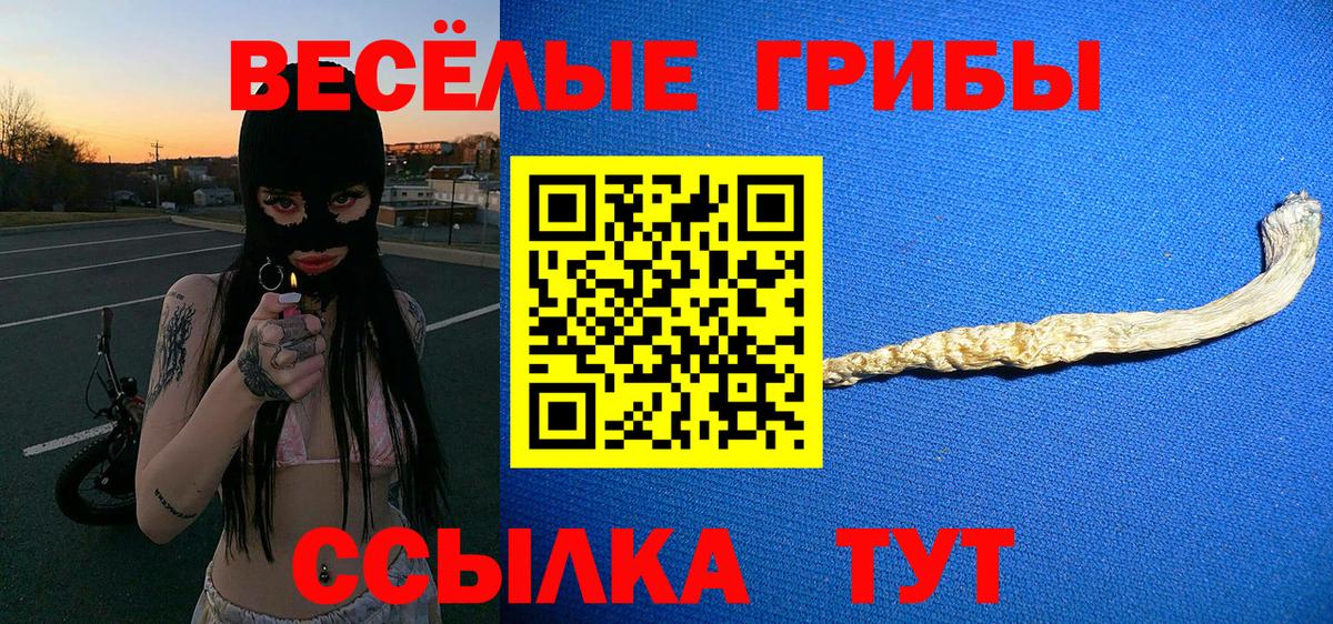 Псилоцибиновые грибы MAGIC MUSHROOMS Москва
