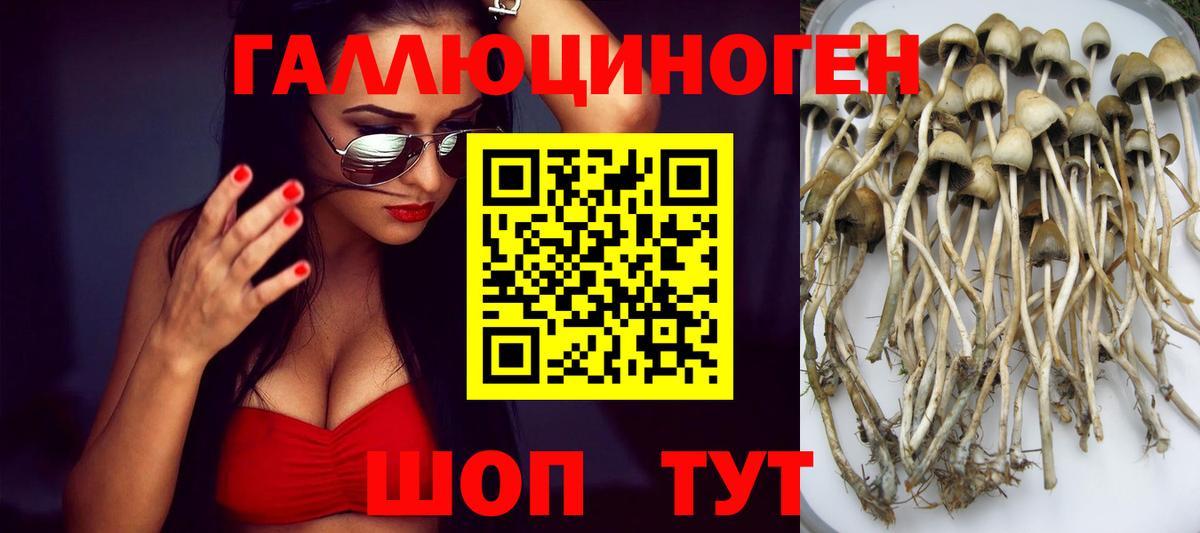 COCAIN  Кетамин  Мефедрон кристаллы  Москва  Гашиш  Марихуана  Вход с VPN 