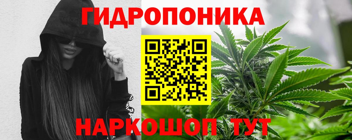 Бошки марихуана White Widow Москва